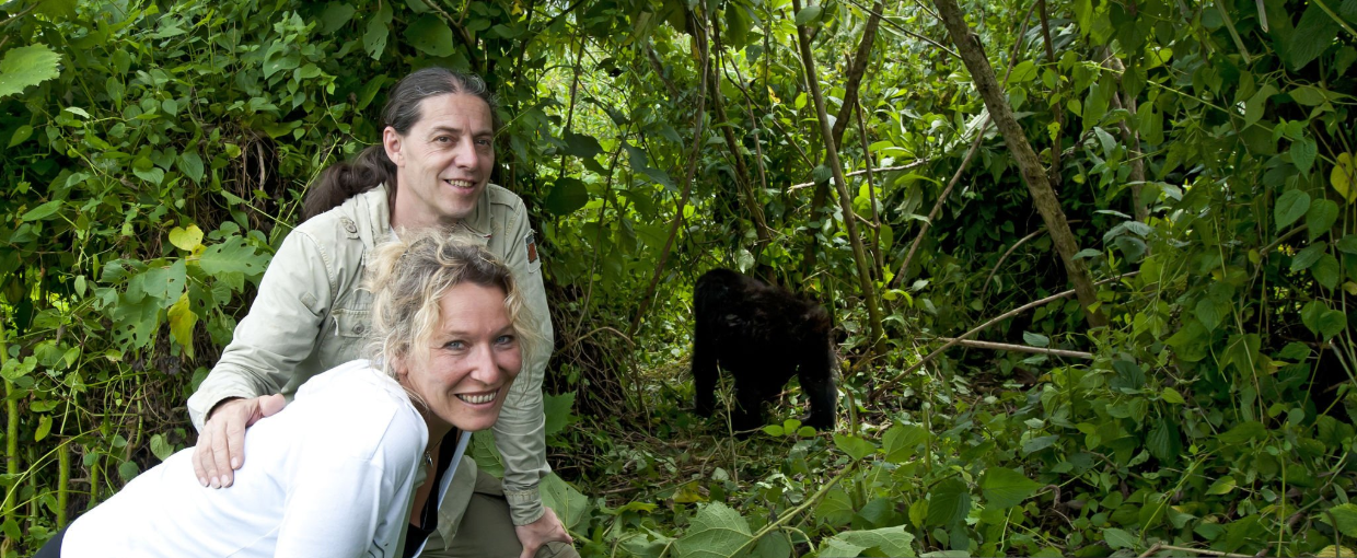 Moderate Fitness Required