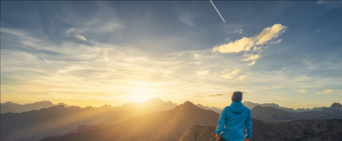 Silverback gorilla in peak trekking season habitat