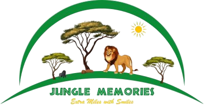 jungle-memories-1-qkadbkg4mvi4wwfs7omc7cyqtausa1l9yyr28sgroq-Photoroom
